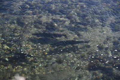 DSC_6526 (Large).JPG